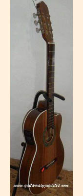 Guitarra Electroacústica de paloescrito con tapa de pinabete imagen 2